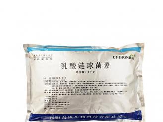 Kohong lactostreptococcin